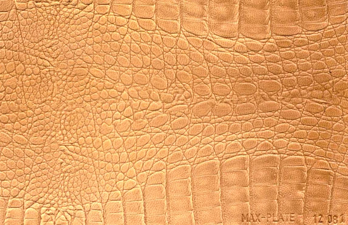 Assumenda accus antium